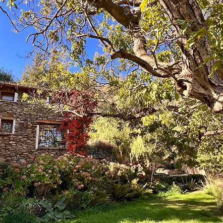La Casa Del Nogal Villa Guejar Sierra Dış mekan fotoğraf