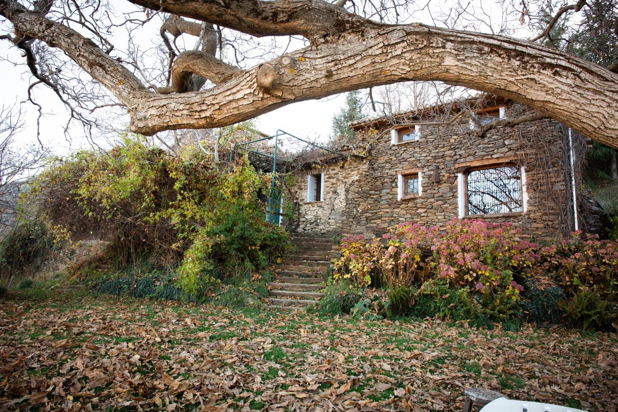 La Casa Del Nogal Villa Guejar Sierra Dış mekan fotoğraf